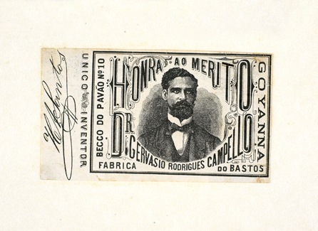 vizualizar o documento on line